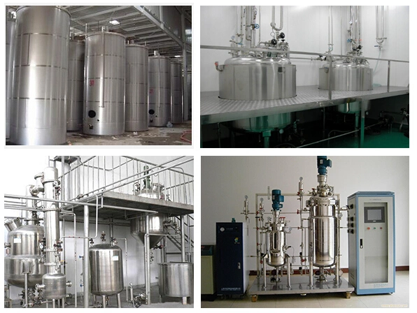 Marya 100L 500L 1000L 1500L Hot Sale Custom Fermenting Equipment with Stainless Steel SUS304 Fermenter Fermentation Tank