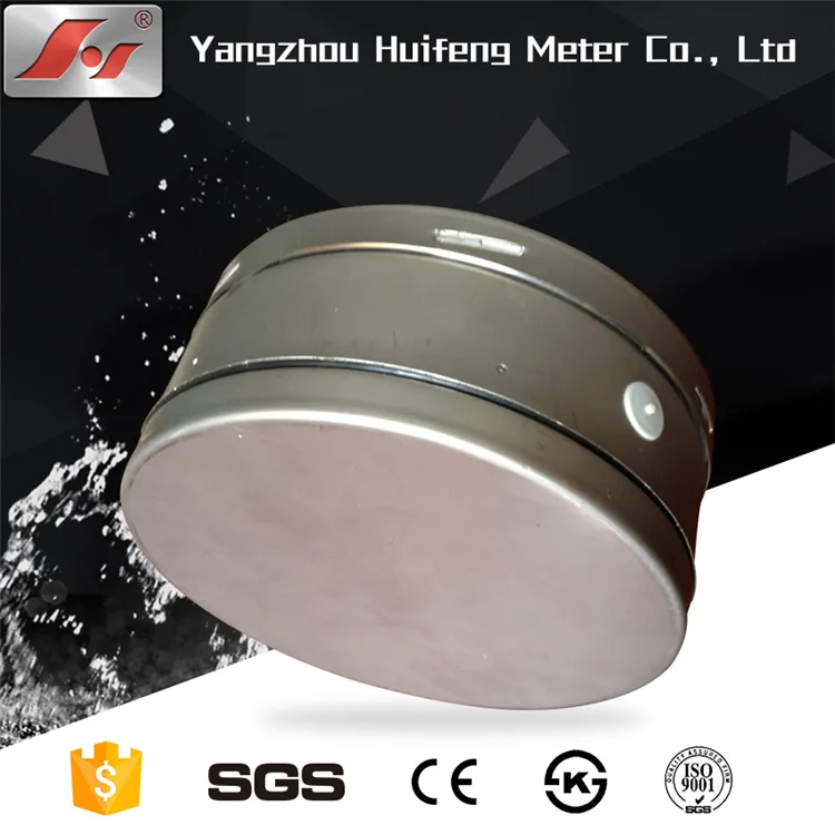 전체가 스테인레스 스틸로 제작된 펌프용 가스 액체 압력 게이지, Nace 압력 게이지, 내산성